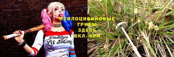 ECSTASY Белокуриха