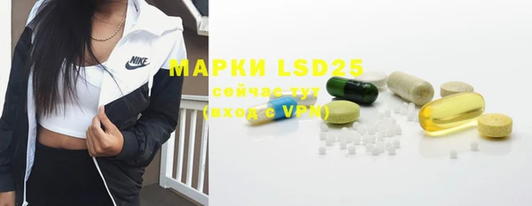 ECSTASY Белокуриха