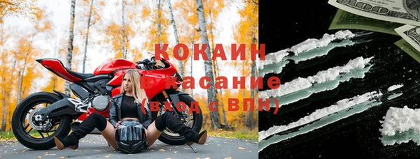 ECSTASY Белокуриха